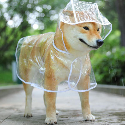 Pet Dog Transparent Rainwear