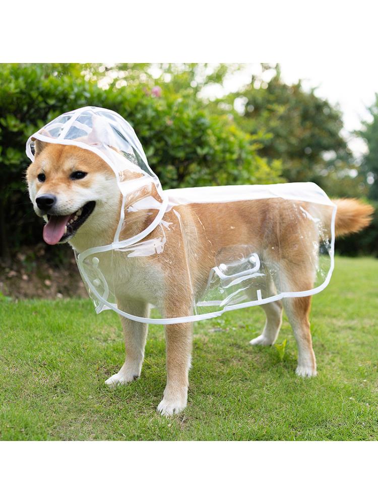 Pet Dog Transparent Rainwear