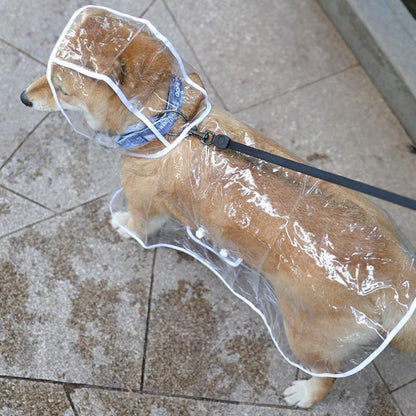 Pet Dog Transparent Rainwear