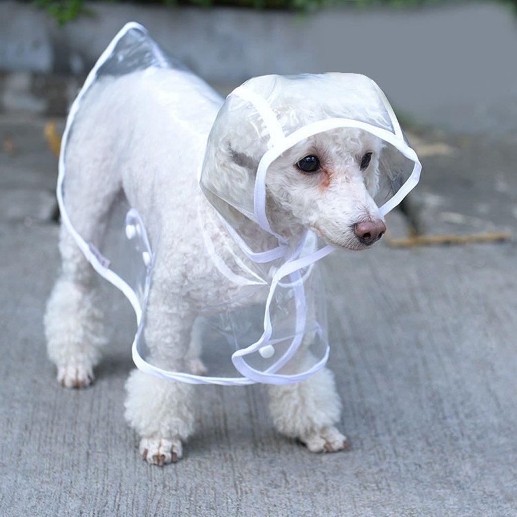 Pet Dog Transparent Rainwear